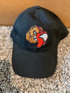 Penn State Lehigh Valley Nittany Lions Black Adjustable DadHat NCAA Bulldog Logo